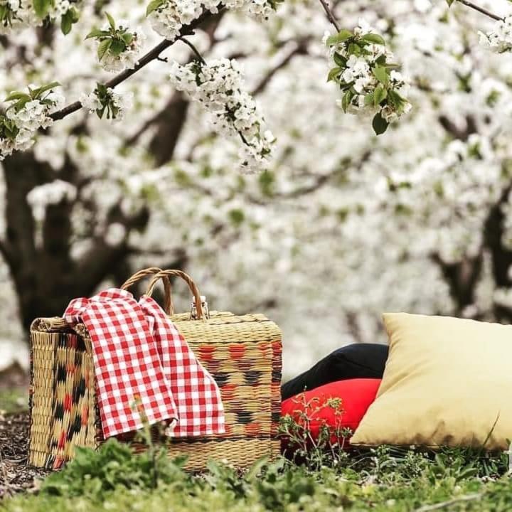 منزل الضيف فوندَوْ  في Nogueira Country House المظهر الخارجي الصورة