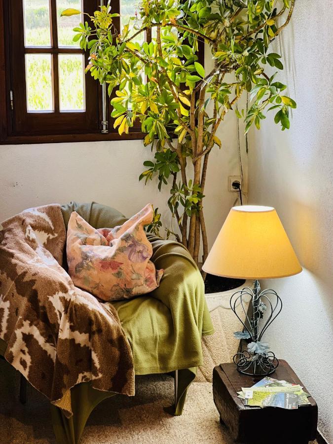 منزل الضيف فوندَوْ  في Nogueira Country House المظهر الخارجي الصورة